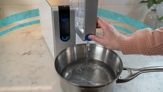 From tap to table: cooking and brewing made better with AquaTru